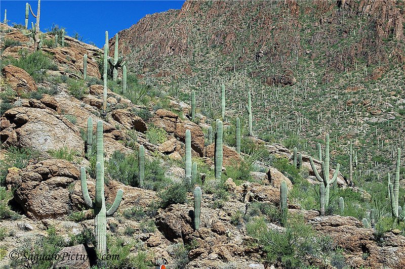 One in a Million.jpg