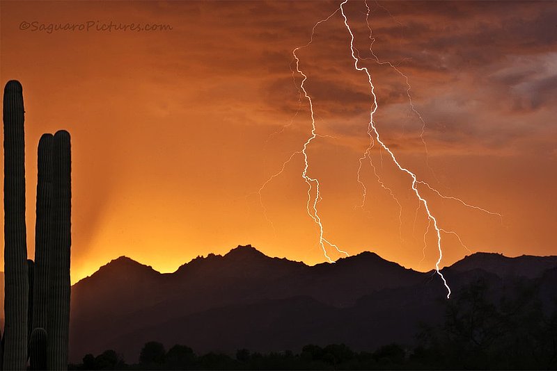 Orange Lightning.jpg :: Orange Lightning