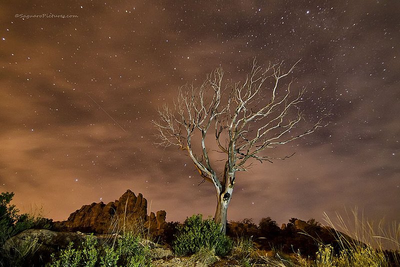 Reach for The Stars.jpg :: Reach for The Stars