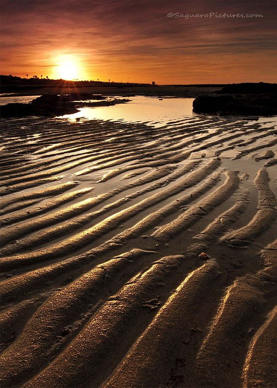 Ripples in The Sand.jpg