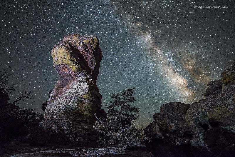 RockStar.jpg :: RockStar