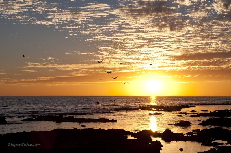 Rocky Point Sunset.jpg :: Rocky Point Sunset