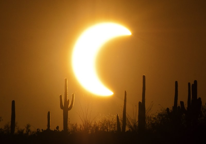 Saguaro Eclipse.jpg :: The eclipse captured on May 20th, 2012 in Tucson, Arizona.