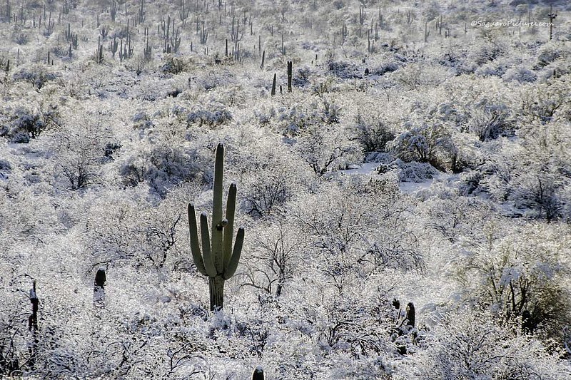 Stand Out.jpg :: Stand Out