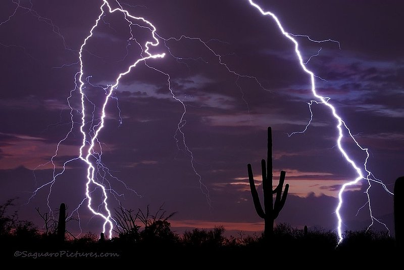 Stuck in The Middle.jpg :: Stuck in The Middle