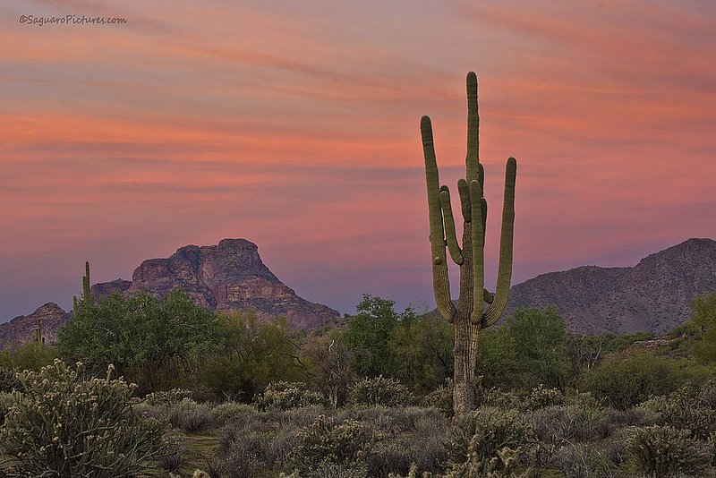 Sunrise at Red Mountain.jpg :: Sunrise at Red Mountain