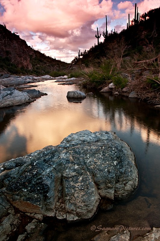 Tanque Verde Creek.jpg