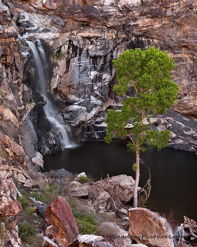Tanque Verde Falls.jpg :: Tanque Verde Falls
