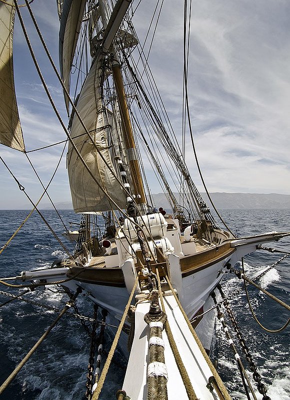 The Bow of The Boat.jpg :: The Bow of The Boat