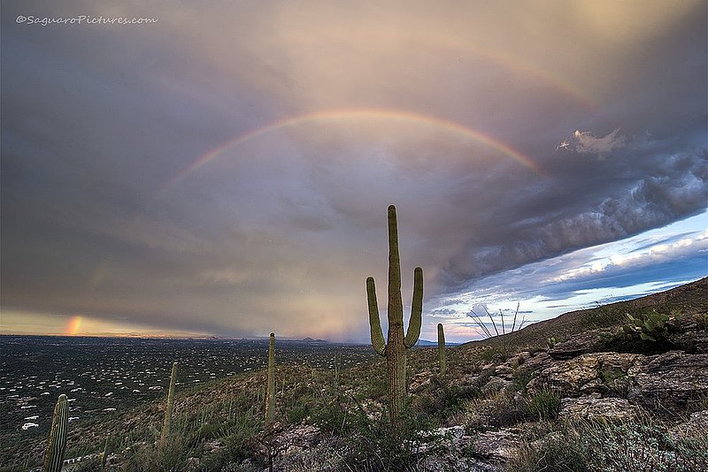 Desert Rainbow.jpg :: Desert Rainbow