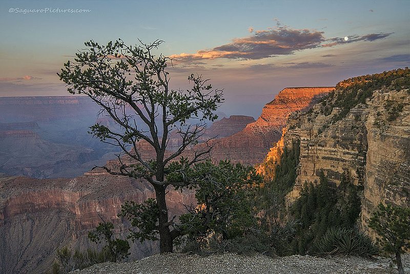 Grand Canyon Supermoon.jpg :: Grand Canyon Supermoon