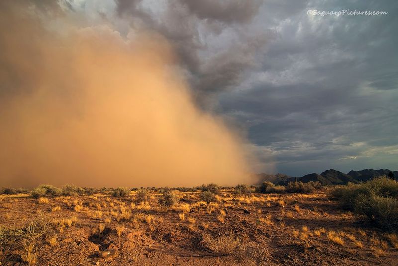 Haboob.jpg :: Haboob