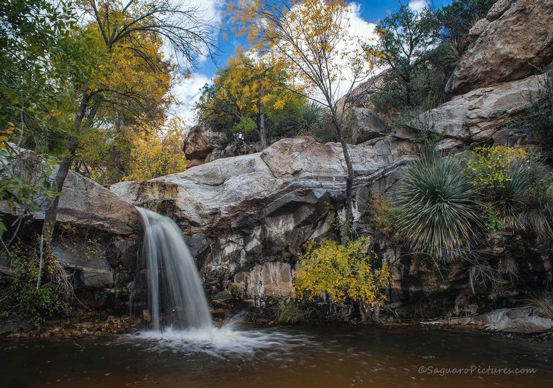 Hidden Waterfall.jpg :: Hidden Waterfall