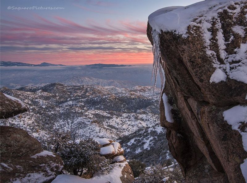 Icicle View.jpg :: Icicle View