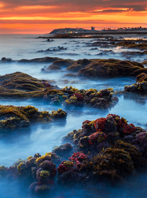 Lowtide Sunset.jpg :: Lowtide Sunset