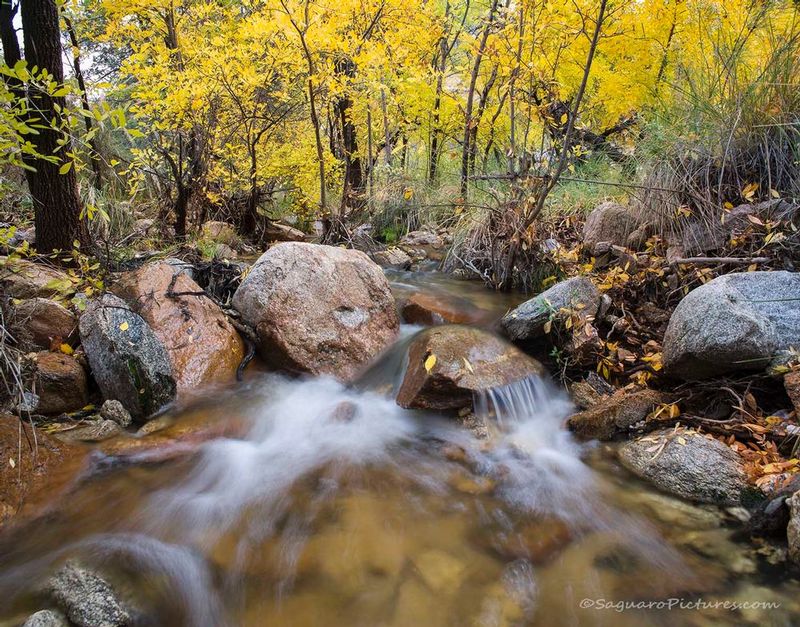 Molino Canyon in Fall.jpg :: Molino Canyon in Fall