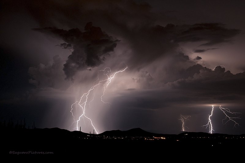 One Crazy Night.jpg :: One Crazy Night