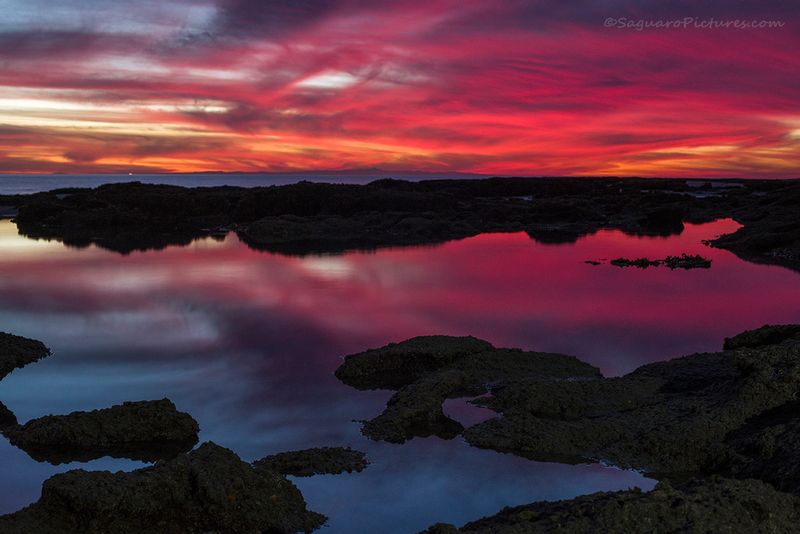 Pools of Red.jpg :: Pools of Red