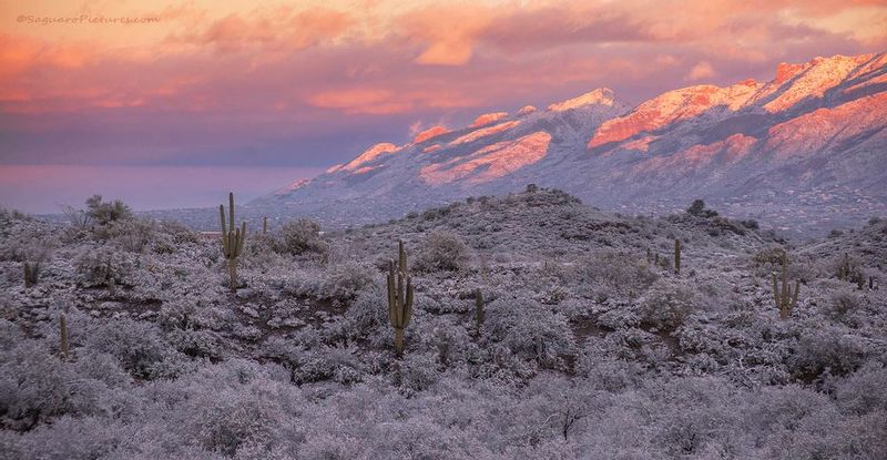 Snowy Desert Sunrise.jpg :: Snowy Desert Sunrise
