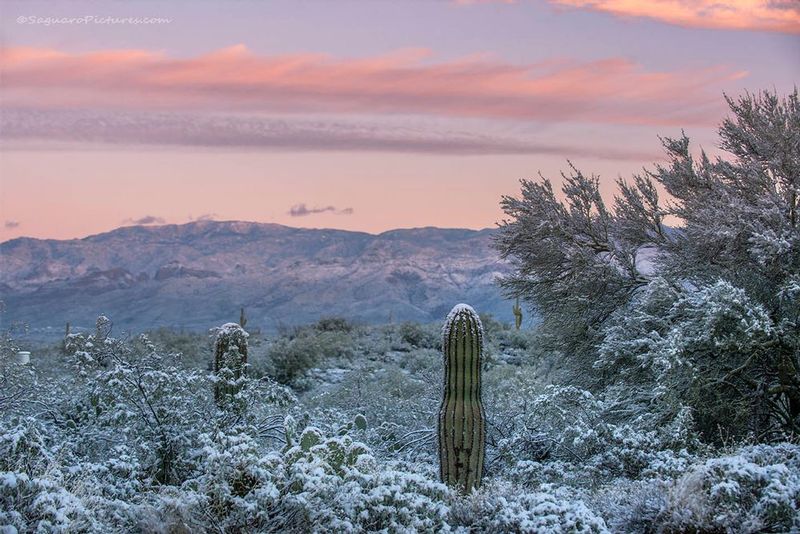 Snowy Sunrise.jpg :: Snowy Sunrise