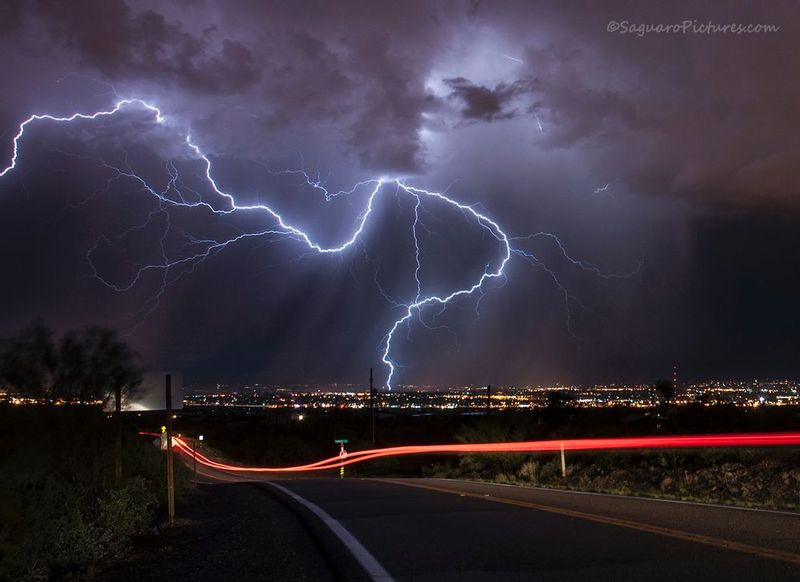 Squiggle.jpg :: Squiggle