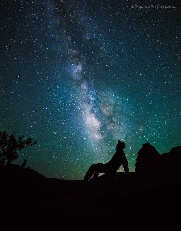 Stargazing.jpg :: Stargazing