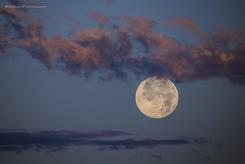 Sunrise Moonset.jpg :: Sunrise Moonset