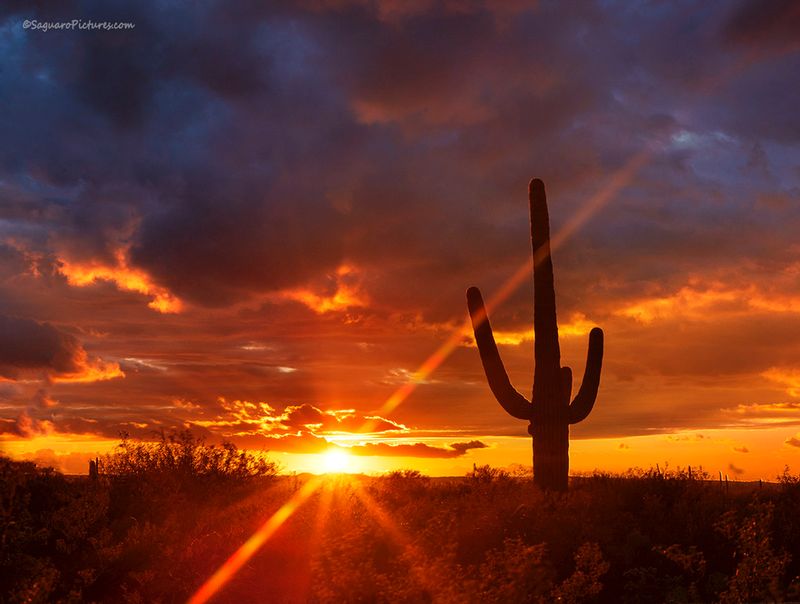 Sunset in Tucson.jpg :: Sunset in Tucson