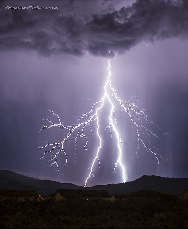 Walker.jpg :: Walker