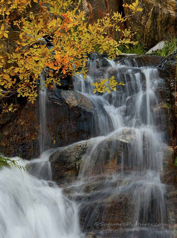 7 Falls in Fall.jpg :: 7 Falls in Fall