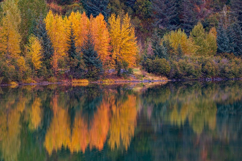 Alaska Fall.jpg :: Alaska Fall