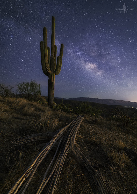 Ancients.jpg :: Ancients