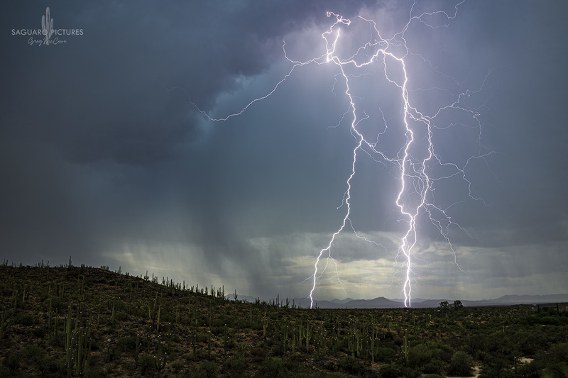 Aqua Green.jpg :: Aqua Green