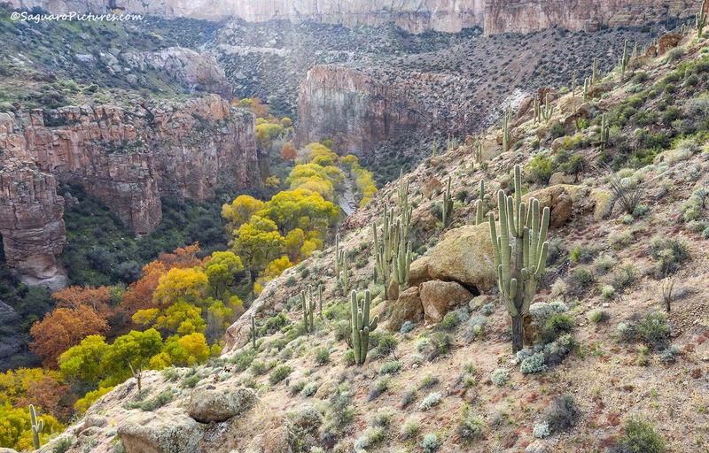 Aravaipa Colors.jpg :: Aravaipa Colors