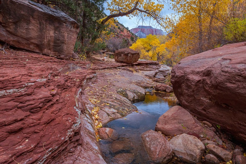 Autumn Magic.jpg :: Autumn Magic