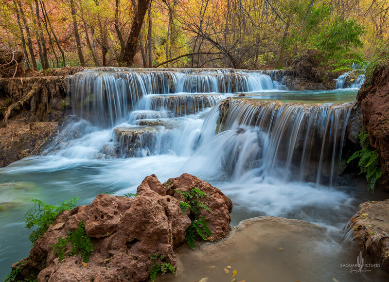Blue Cascades Yellow Trees.jpg :: Blue Cascades Yellow Trees