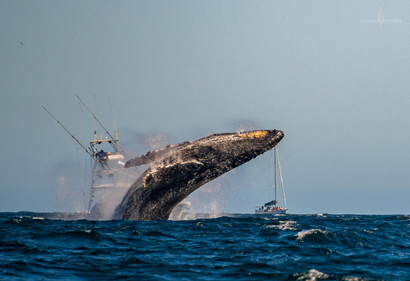 Breach.jpg :: Breach