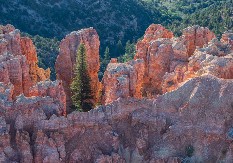 Bryce Canyon rocks and trees.jpg :: Bryce Canyon rocks and trees