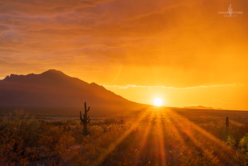 Bursting.jpg :: Bursting