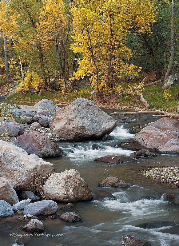 Canyon Fall.jpg :: Canyon Fall