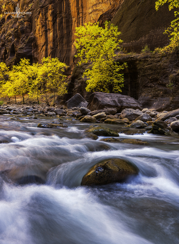 Colorful Flow.jpg :: Colorful Flow