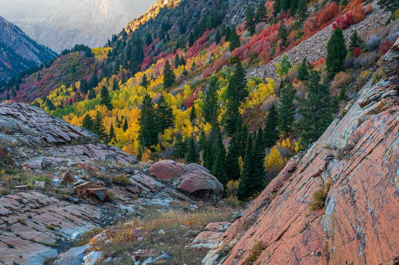 Colorful Valley.jpg :: Colorful Valley