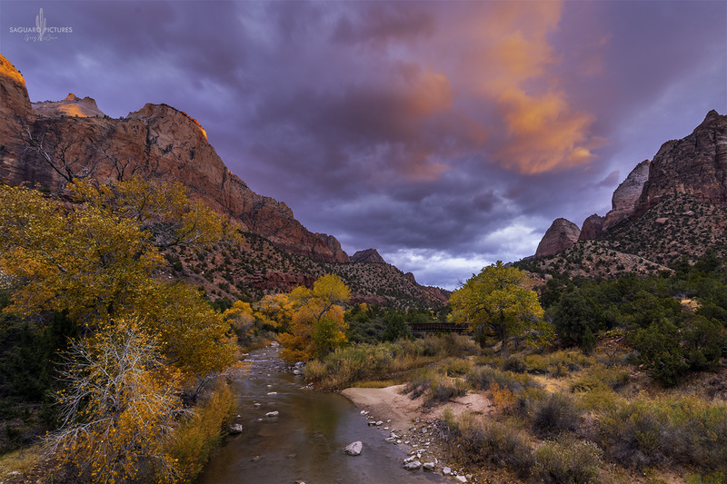 Colors in Zion.jpg :: Colors in Zion