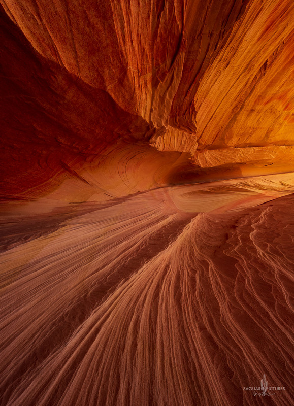 Converging Red.jpg :: Converging Red