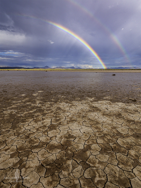 Cracks and Rainbows.jpg :: Cracks and Rainbows