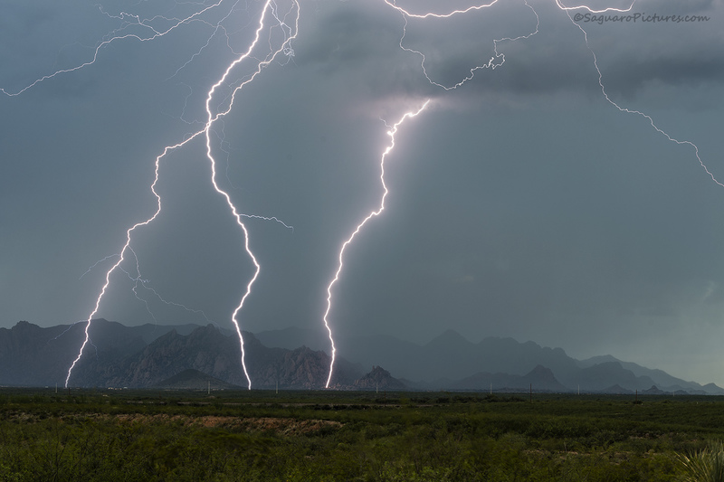 Dancing on the Dragoons.jpg :: Dancing on the Dragoons