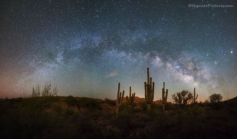 Desert Nights.jpg :: Desert Nights