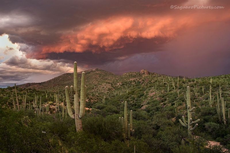Desert Storm Sunset.jpg :: Desert Storm Sunset