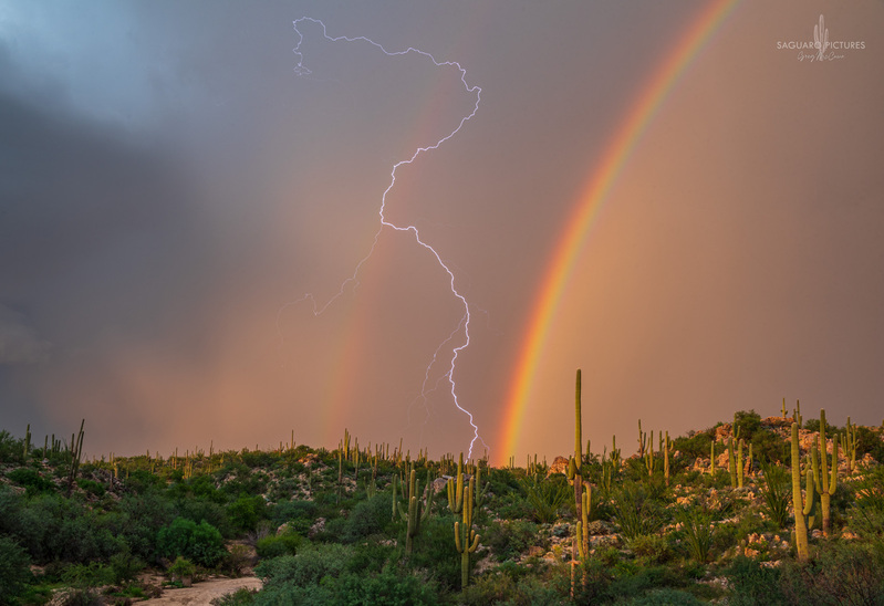 Double Split.jpg :: Double Split