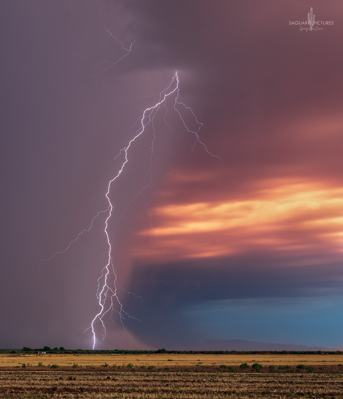 Drawing The Line.jpg :: Drawing The Line